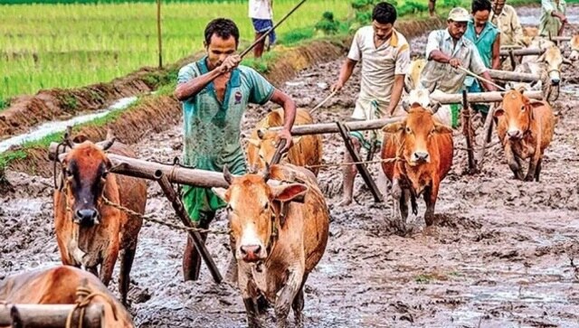 PM KISAN Yojana: Central government likely to release tenth instalment by 31 October; check details here PM KISAN Yojana: Central government likely to release tenth instalment by 31 October; check details here