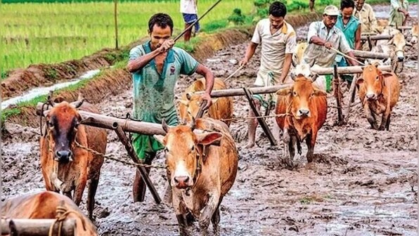 PM KISAN Yojana: Central government likely to release tenth instalment by 31 October; check details here