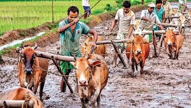 PM KISAN Yojana: Central government likely to release tenth instalment by 31 October; check details here