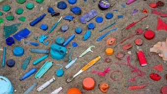 COVID exposed the broken system of the plastic production and recycling sector: Here’s how we can fix it
