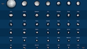 ESO releases images of the solar system's 42 largest asteroids with the most peculiar shapes