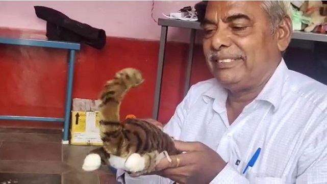 Meet a retired school teacher who uses dolls to make math and science easy for students Meet a retired school teacher who uses dolls to make math and science easy for students