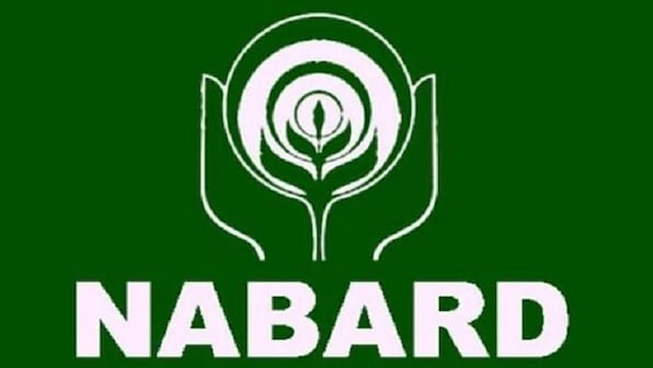 NABARD Grade A and B preliminary exam results declared; check them at nabard.org