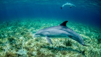 We The Change: We need to restore the planet while creating sustainable livelihoods for people