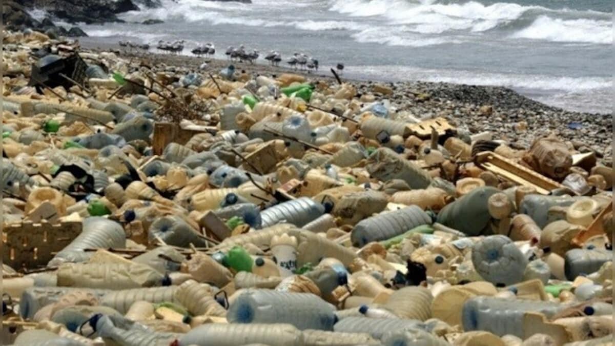 Single-use plastic to be banned in India from 1 July: What will be allowed and what won't?