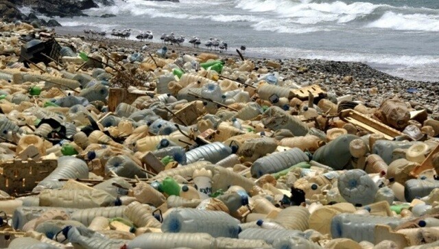 UN passes historic resolution to end plastic pollution: What does it mean, why this is a need of the hour UN passes historic resolution to end plastic pollution: What does it mean, why this is a need of the hour