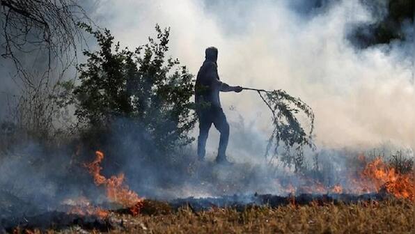 Punjab, Haryana farmers have begun burning crop stubble, show NASA satellite images