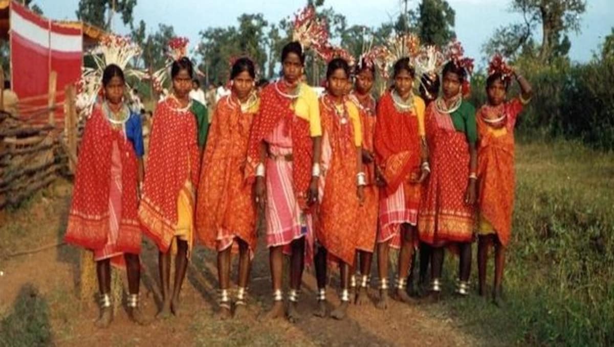 For Madhya Pradeshs tribals, too wide a gap between state policies and  reality - Firstpost