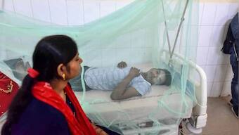 Delhi logs nearly 1,200 dengue cases in October, highest for the month in four years