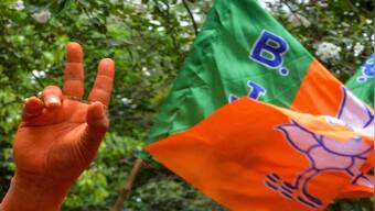 From Assembly polls to COVID-19 vaccine drive: BJP's agenda for its national executive meet today