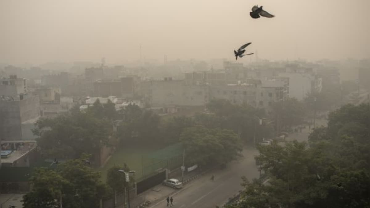 As pollution levels increase, Haryana shuts schools, bans construction in four NCR districts till 17 Nov