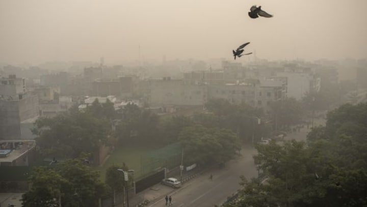 Delhi's all smogged up! Capital turns into gas chamber as pollution levels rise significantly