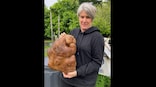 Doug the ugly New Zealand potato could be world's biggest