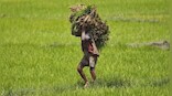 PM Kisan Samman Nidhi: Now, farmers can withdraw money at home