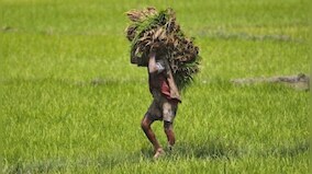 PM Kisan Samman Nidhi: Now, farmers can withdraw money at home
