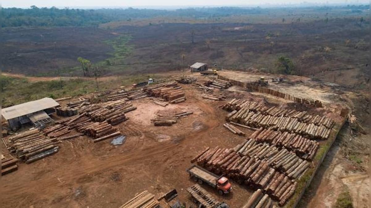 Amazon deforestation in Brazil rises by 22% in a year; a look at what caused deterioration in 15 years