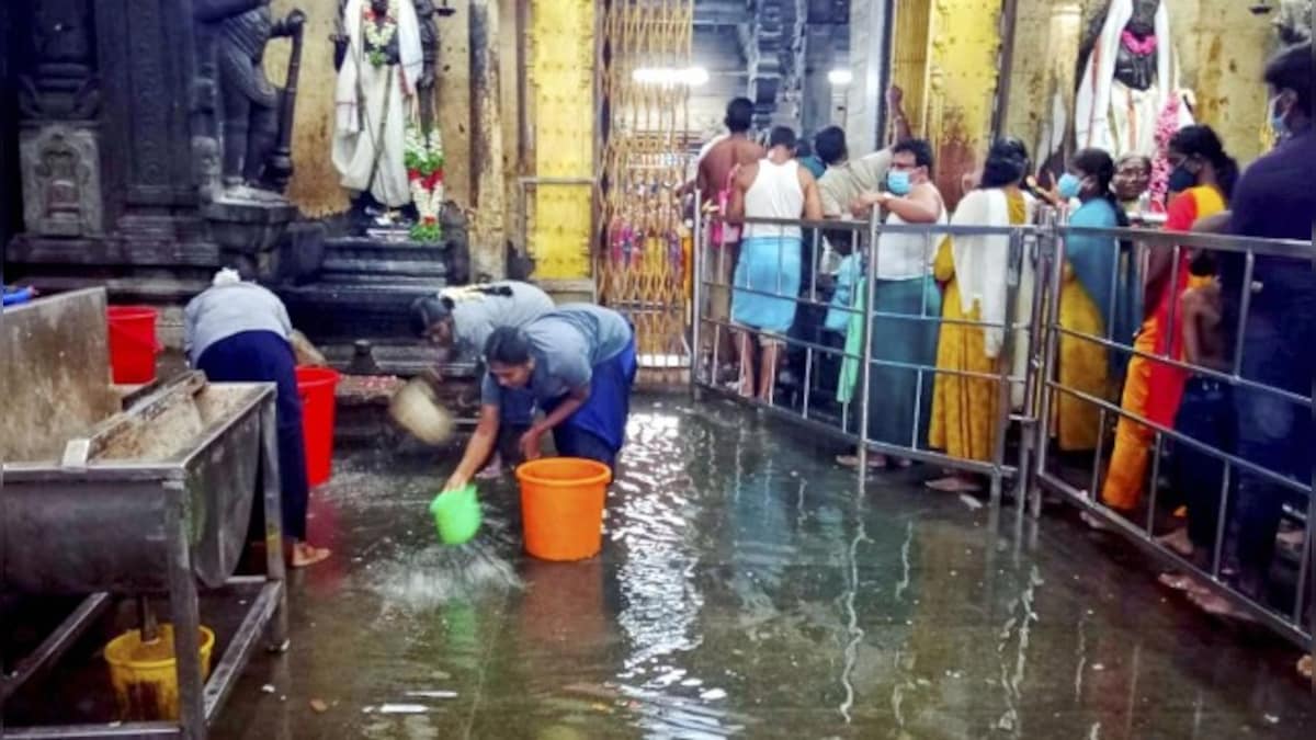 Tamil Nadu rains: IMD issues red alert in five districts; schools, colleges shut in over 22 districts