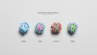 Omicron: A layman's guide to understanding COVID-19 variants and strains