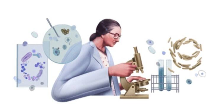 Google Doodle pays tribute to Dr Kamal Ranadive, Indian cell biologist known for her work with cancer Google Doodle pays tribute to Dr Kamal Ranadive, Indian cell biologist known for her work with cancer