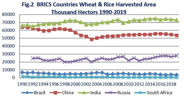 Source: UN Food and Agriculture Organization; https://www.fao.org/faostat/en/#data/QCL