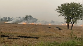 In Punjab’s paddy fields: Where the seeders are happy but the farmers are not