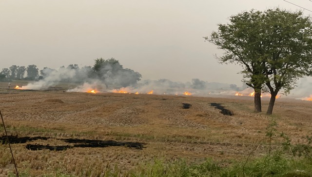 In Punjab’s paddy fields: Where the seeders are happy but the farmers are not In Punjab’s paddy fields: Where the seeders are happy but the farmers are not