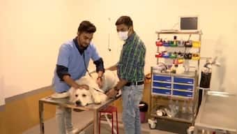 Gujarat: Man opens country's first veterinary ventilator hospital in Ahmedabad; all you need to know