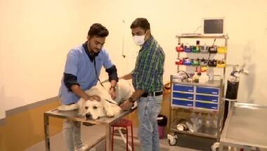 Gujarat: Man opens country's first veterinary ventilator hospital in Ahmedabad; all you need to know