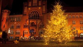 Omicron scare dampens Christmas spirit; thousands of flights cancelled globally