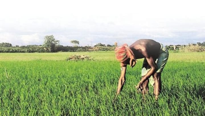 What is zero budget farming and why Prime Minister Narendra Modi is batting for it