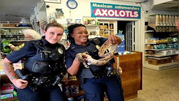 Man finds 5-foot-long snake hidden inside new couch, calls the cops; check viral post here