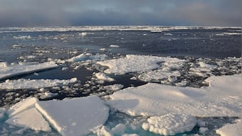 Why increased rainfall in the Arctic is bad news not only for polar region but the whole world