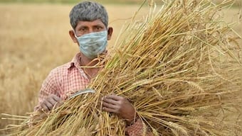 Chaudhary Charan Singh birth anniversary: Know why Kisan Diwas is celebrated today