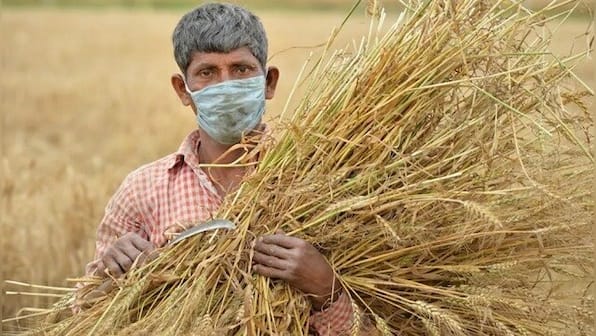 Chaudhary Charan Singh birth anniversary: Know why Kisan Diwas is celebrated today