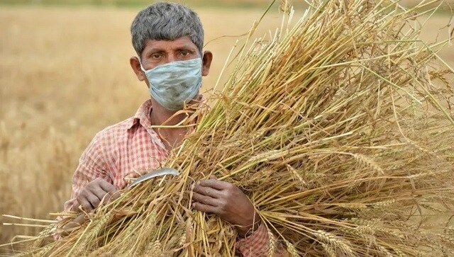 Chaudhary Charan Singh birth anniversary: Know why Kisan Diwas is celebrated today Chaudhary Charan Singh birth anniversary: Know why Kisan Diwas is celebrated today