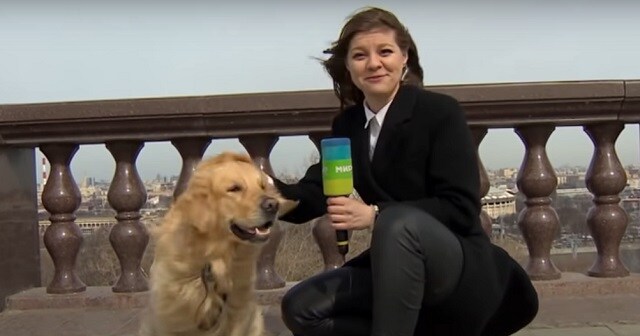 As 2021 comes to an end, here are the funniest moments caught on live TV this year As 2021 comes to an end, here are the funniest moments caught on live TV this year