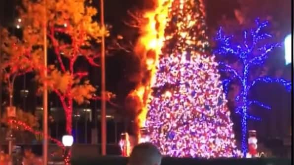 Christmas tree placed outside Fox News building in New York set on fire; watch viral video here