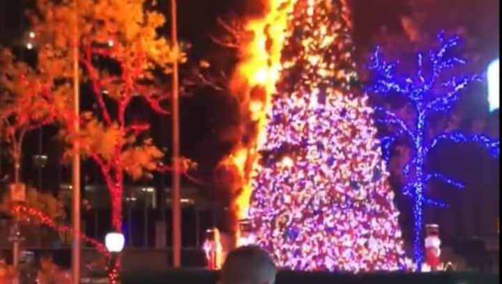 Christmas tree placed outside Fox News building in New York set on fire; watch viral video here