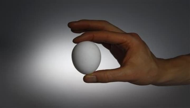 Is going after eggs, cigarette papers and sex toys really worth the effort?