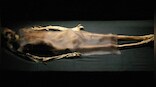 Archaeologists in Peru unearth mummy estimated to be at least 1,200 years old