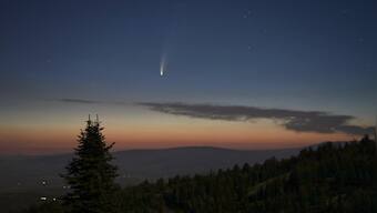 Brightest comet of 2021 to pass by Earth on 12 Dec; here's all you need to know