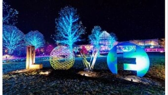 Spend a photogenic Christmas under Virginia's holiday lights displays