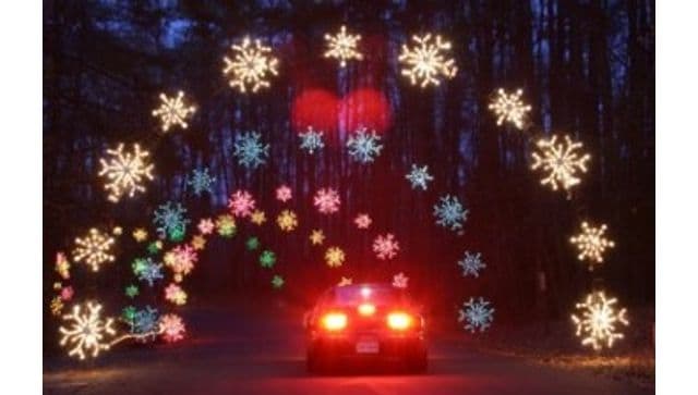 Celebration in lights