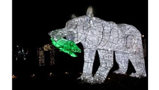 Winter walk of lights