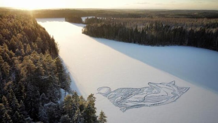 Finnish architect continues six-year long tradition, draws giant fox in frozen lake