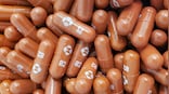 US regulator FDA authorises Merck's COVID-19 pill for high risk adults