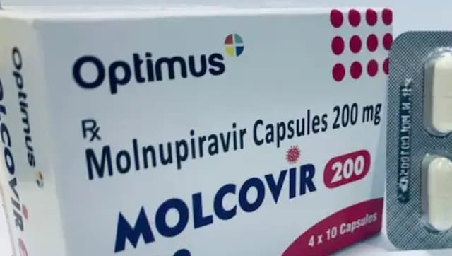 Optimus Pharma to launch anti-COVID pill Molnupiravir next week; all you need to know