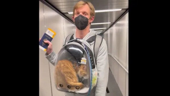 Watch | Man boards flight with pet cat in bag, see viral video here