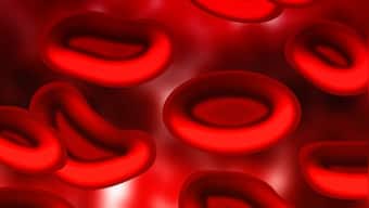 World Thalassemia Day 2022: Theme, significance and history; all you need to know
