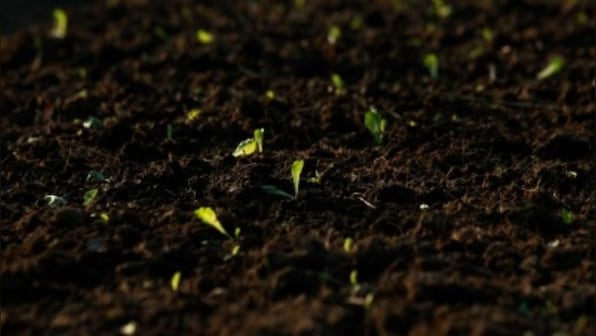 IIT Mandi researchers develop sustainable methods of soil stabilisation using bacteria